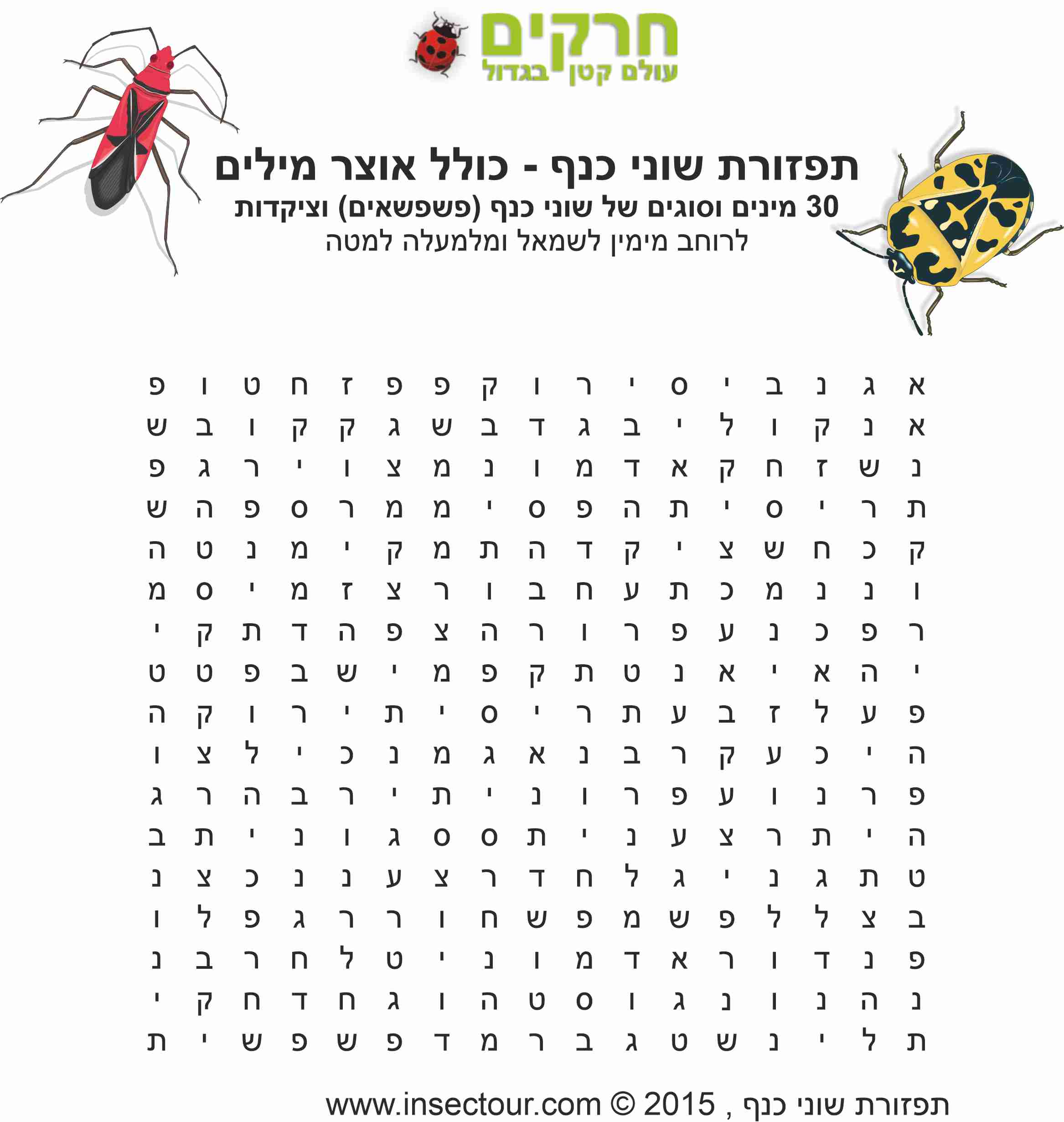 תפזורת פשפשאים - חרקים - עולם קטן בגדול