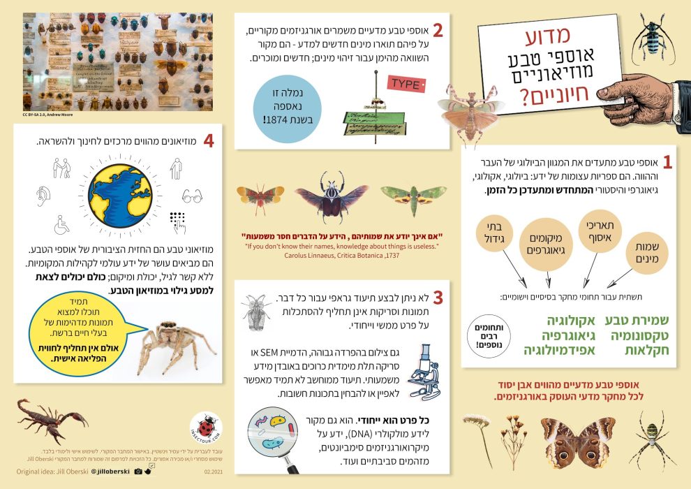 לוח אספי טבע 0421