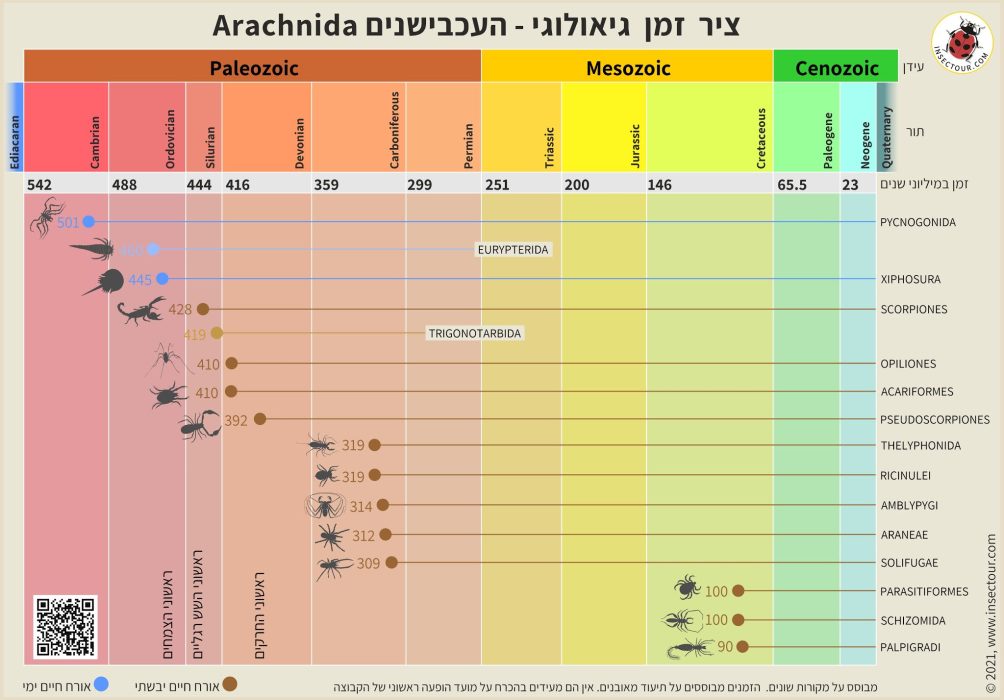 עכבישנים - ציר זמן גיאולוגי